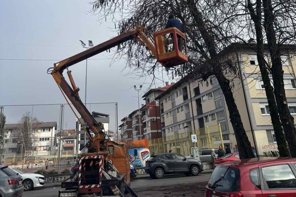 Radovi na orezivanju stabala u Banjaluci