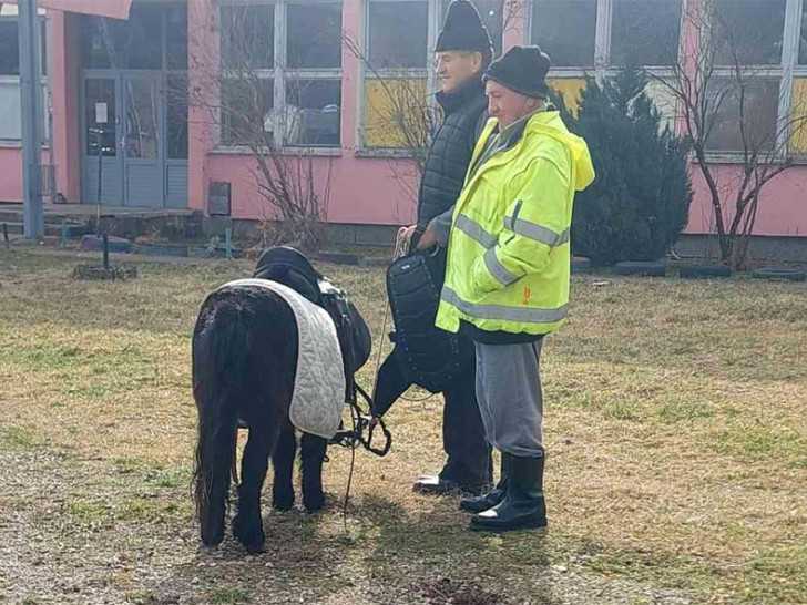 Postoji li bolji deda: Unuku iz škole odvodi sa ponijem