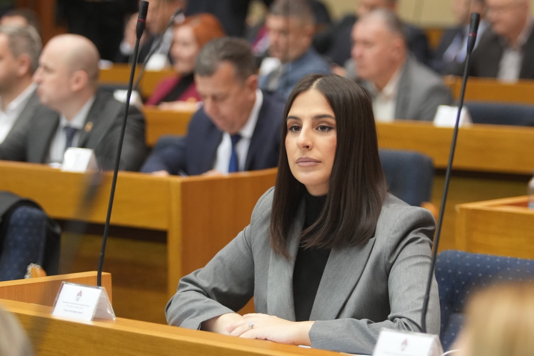 OSUDA VELIČANJA USTAŠKE IDEOLOGIJE Vukomanović: Umjesto jedinstvenog stava, vlast insistira na svojoj verziji iste stvari