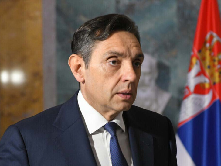 Vulin oštro: Građani nisu glasali da nam sudbinu kroji Venecijanska komisija