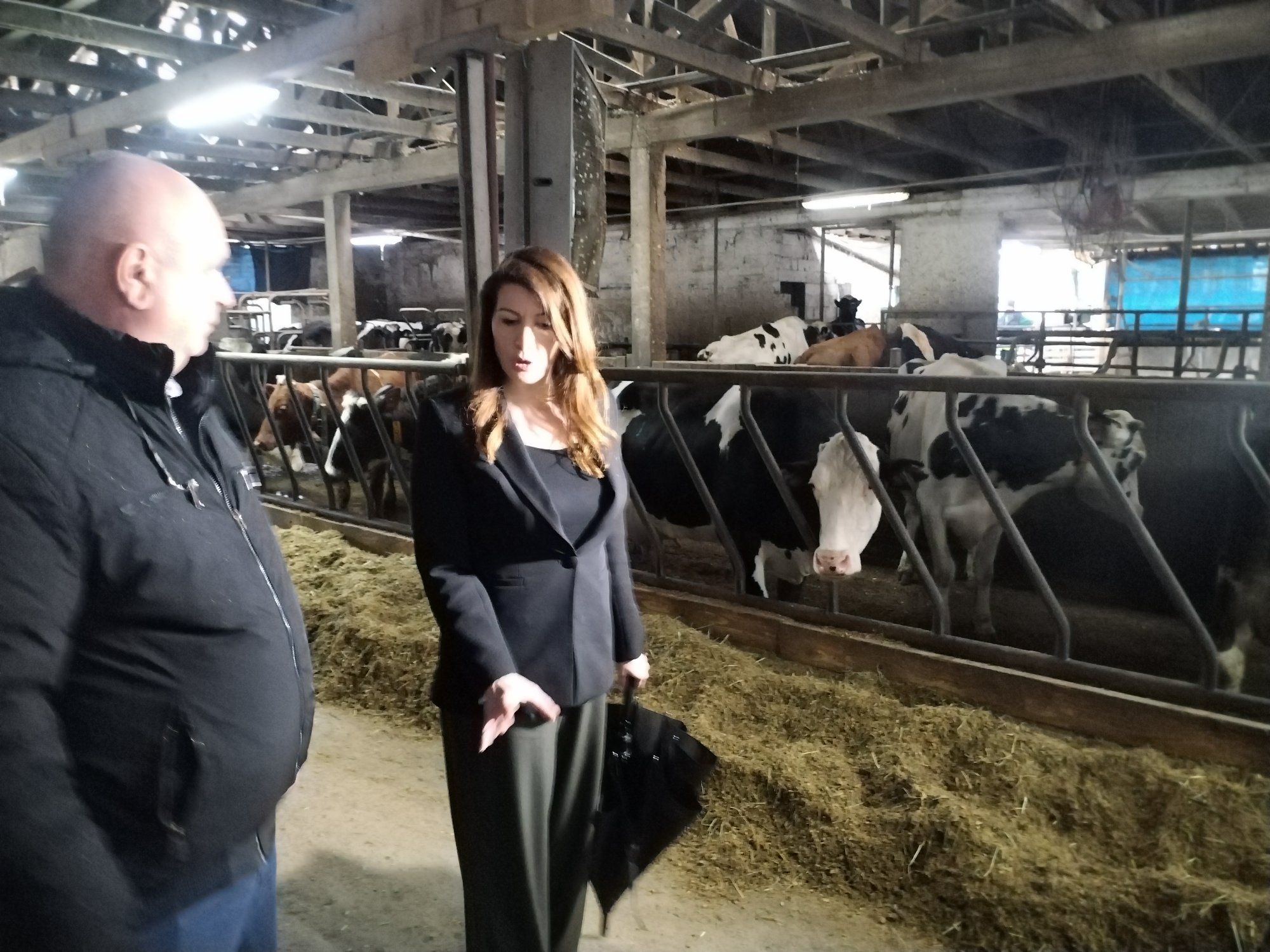 Farma „Škundrić“ u Ništavcima kod Prijedora pravi primjer uspješnog porodičnog gazdinstva