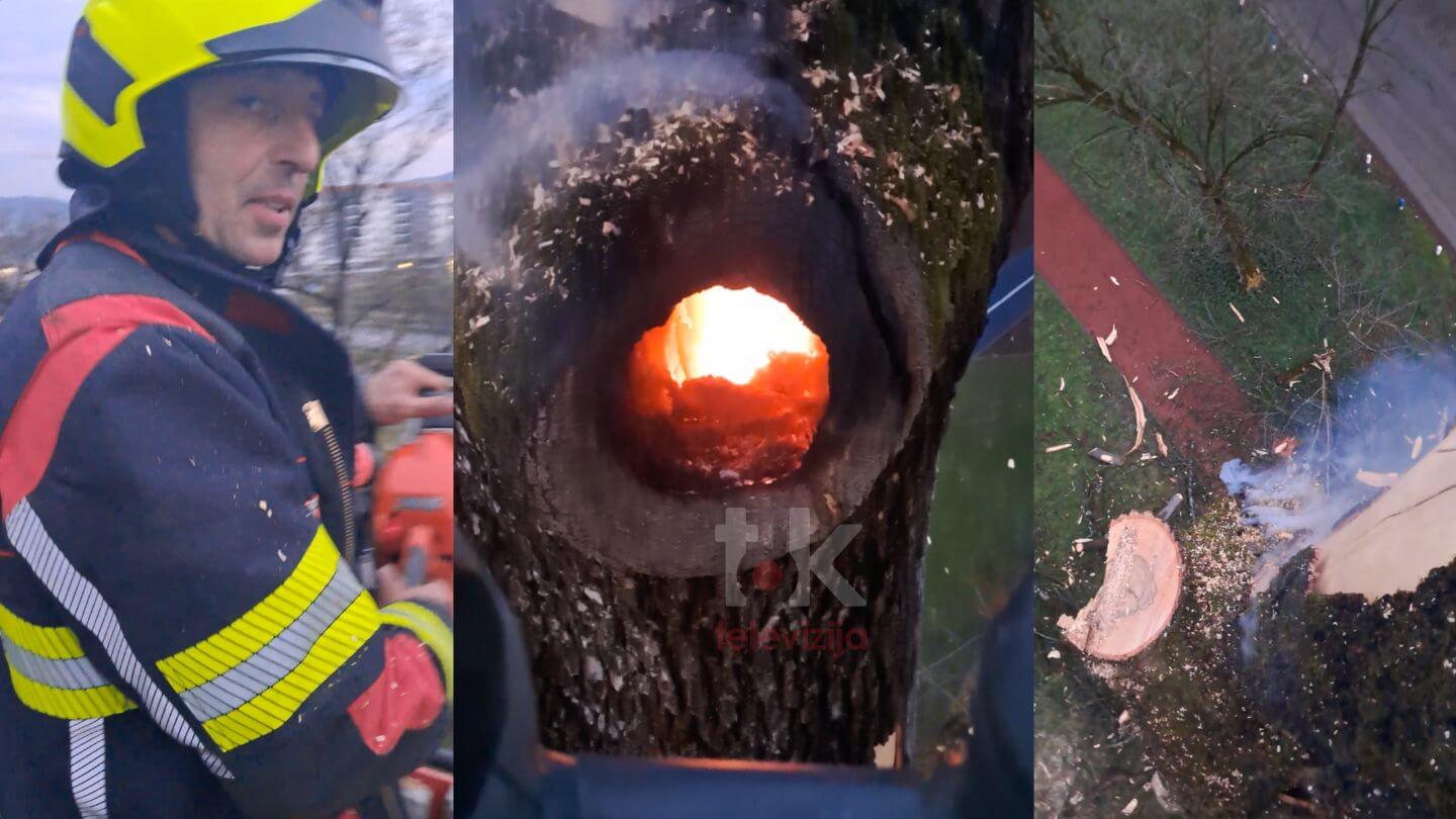 NEOBIČNA INTERVENCIJA U BANJALUCI: Grom udario drvo u Parku „Mladen Stojanović“ i zapalio ga iznutra! (VIDEO)