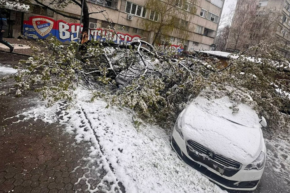 SNIJEG STVARA PROBLEME Drvo palo na automobile u centru Banjaluke