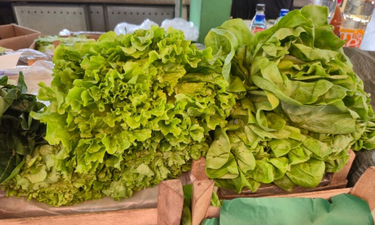 Rast cijene povrća i voća u Crnoj Gori: Zelena salata skuplja za 180 odsto
