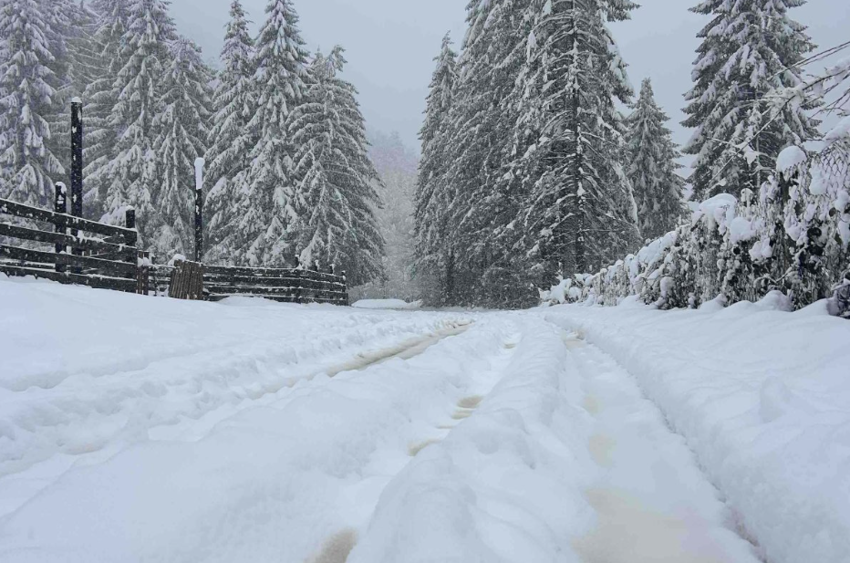 Snijeg ne prestaje da pada u Kotor Varošu, sela zametena (FOTO, VIDEO)