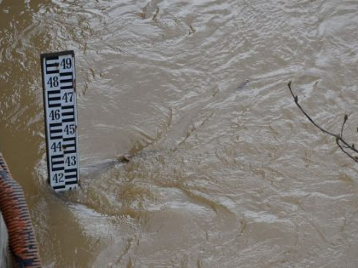 Sana u porastu, Gomjenica stagnira