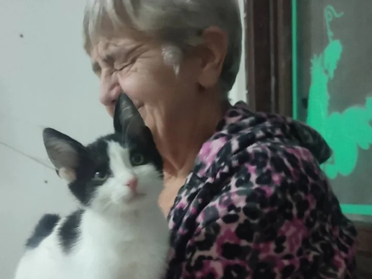 Osam maca čeka dom: Nastavljena humana misija Vahdete Dade Gunić