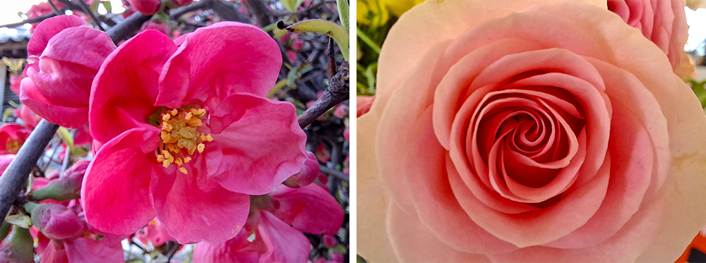 Galaxy A57 5G i Galaxy A37 5G: Najnovije Samsung inovacije dostupne svima