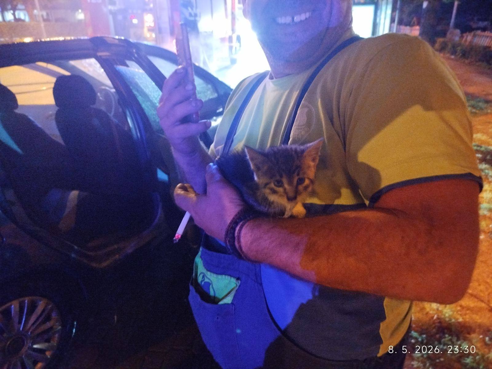 Banjalučki vatrogasci dva puta spašavali mačku (FOTO)