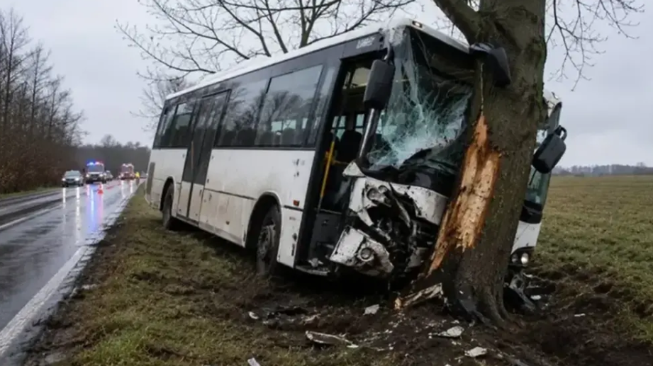 Tragedija u Mađaskoj: Autobus sa djecom udario u drvo, vozač poginuo, povrijeđene 23 osobe