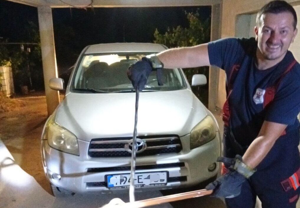 Neobična intervencija banjalučkih vatrogasaca: Hvatali zmiju usred noći