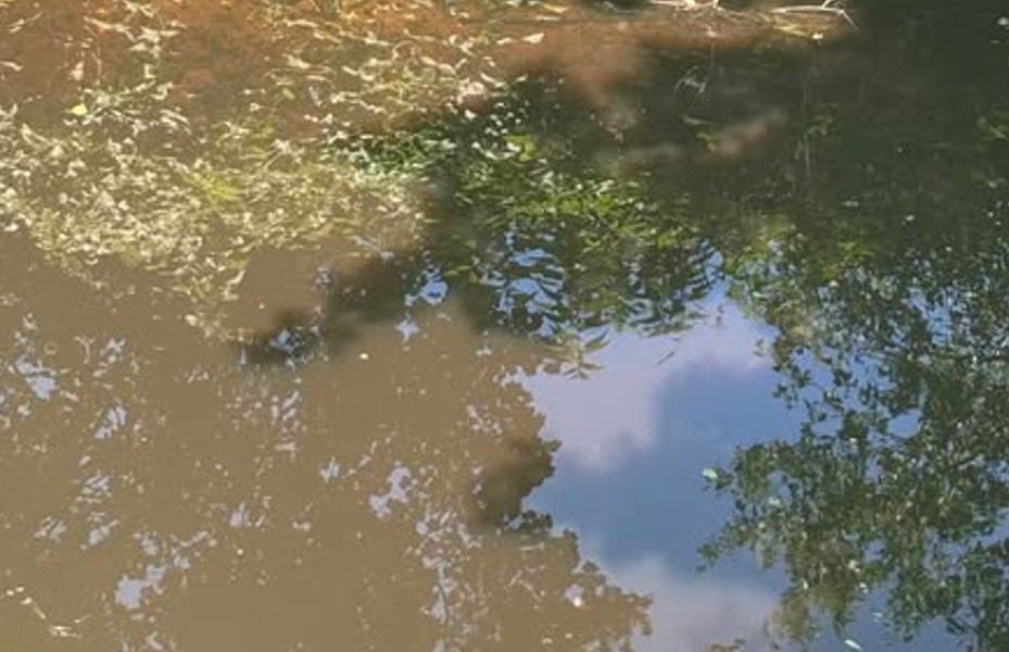 Nesnošljiv smrad davi Zalužane, zagađenje stiže iz Ramića i ide pravo u Vrbas?
