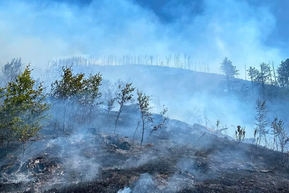 Mine zaustavile vatrogasce kod Mostara: “Ne želim ih stavljati u opasnost”