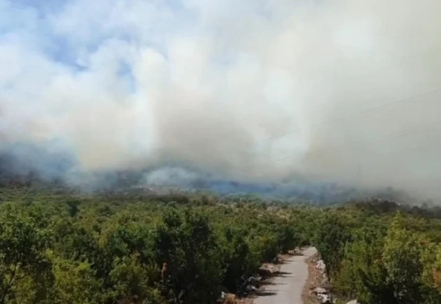 Širi se požar nadomak Trebinja