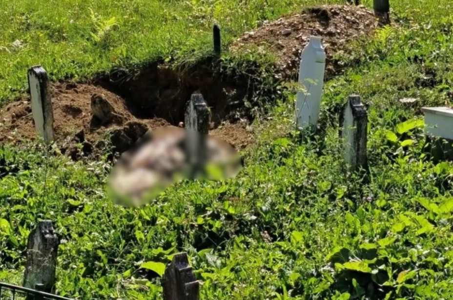Šok u Travniku: Medvjed raskopao grob