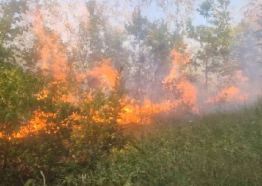 Kritično kod Doboja: Požar zahvatio više od 100 dunuma šume