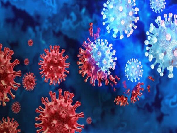 Opasni virus u regionu: Pet smrtnih slučajeva