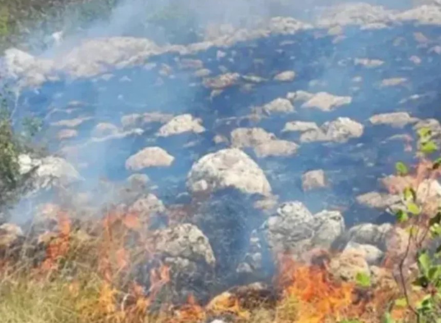 Požari širom Hercegovine: Vatra prijeti selima, vatrogasci brane kuće