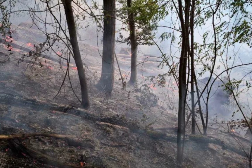 Veliki požar kod Banjaluke: Vatra prijeti kućama, izgorjeli objekti i šuma