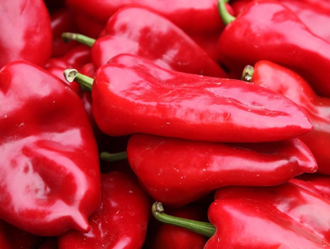 Koliko je paprika potrebno za kilogram ajvara, ovo je najpošteniji odgovor