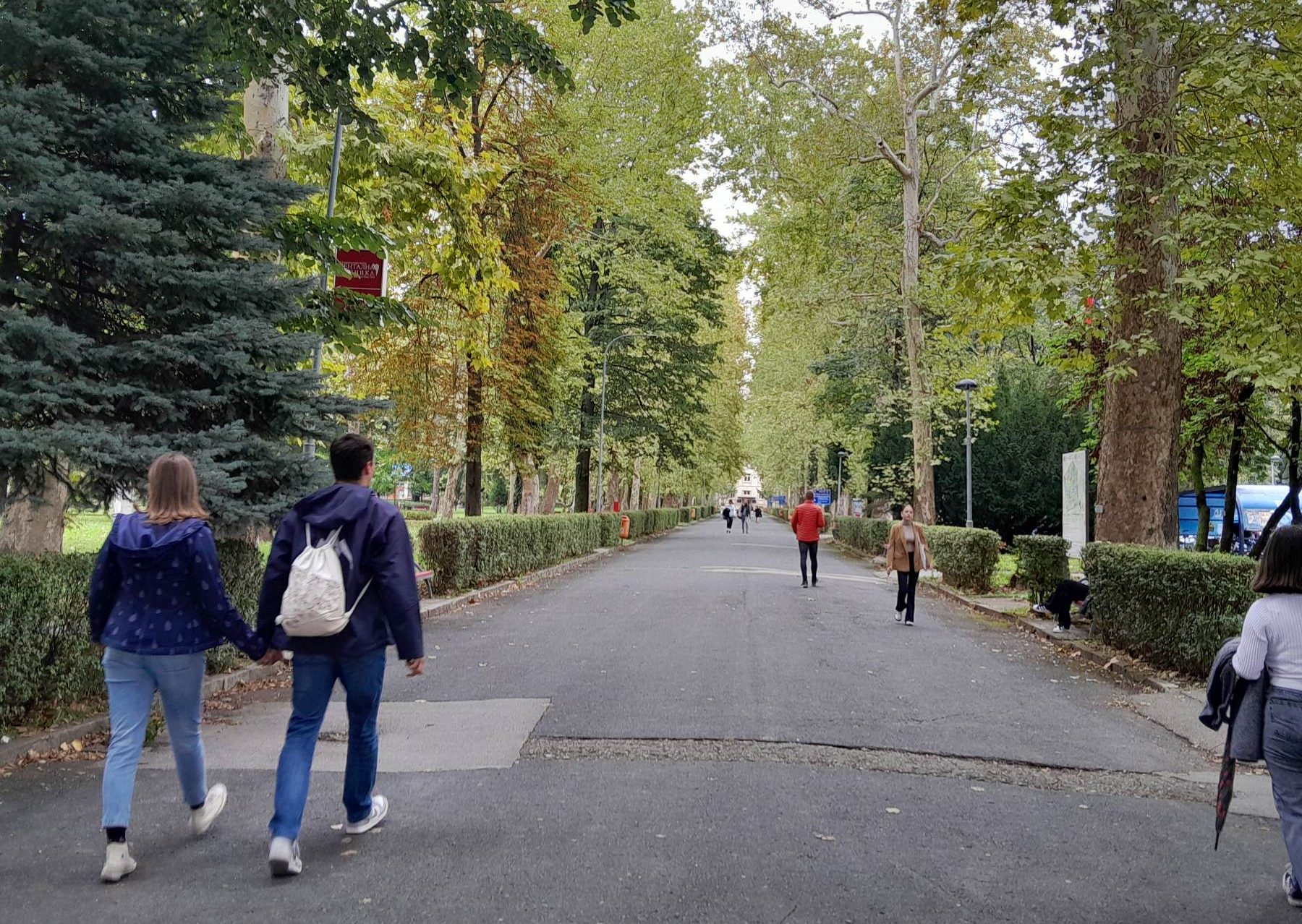 Studentima 50.000 KM za izradu doktorskih disertacija